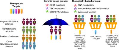 Frontiers | Moving Toward Patient-Tailored Treatment In ALS And FTD ...